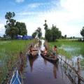 Cambodia flood Oct 2013
